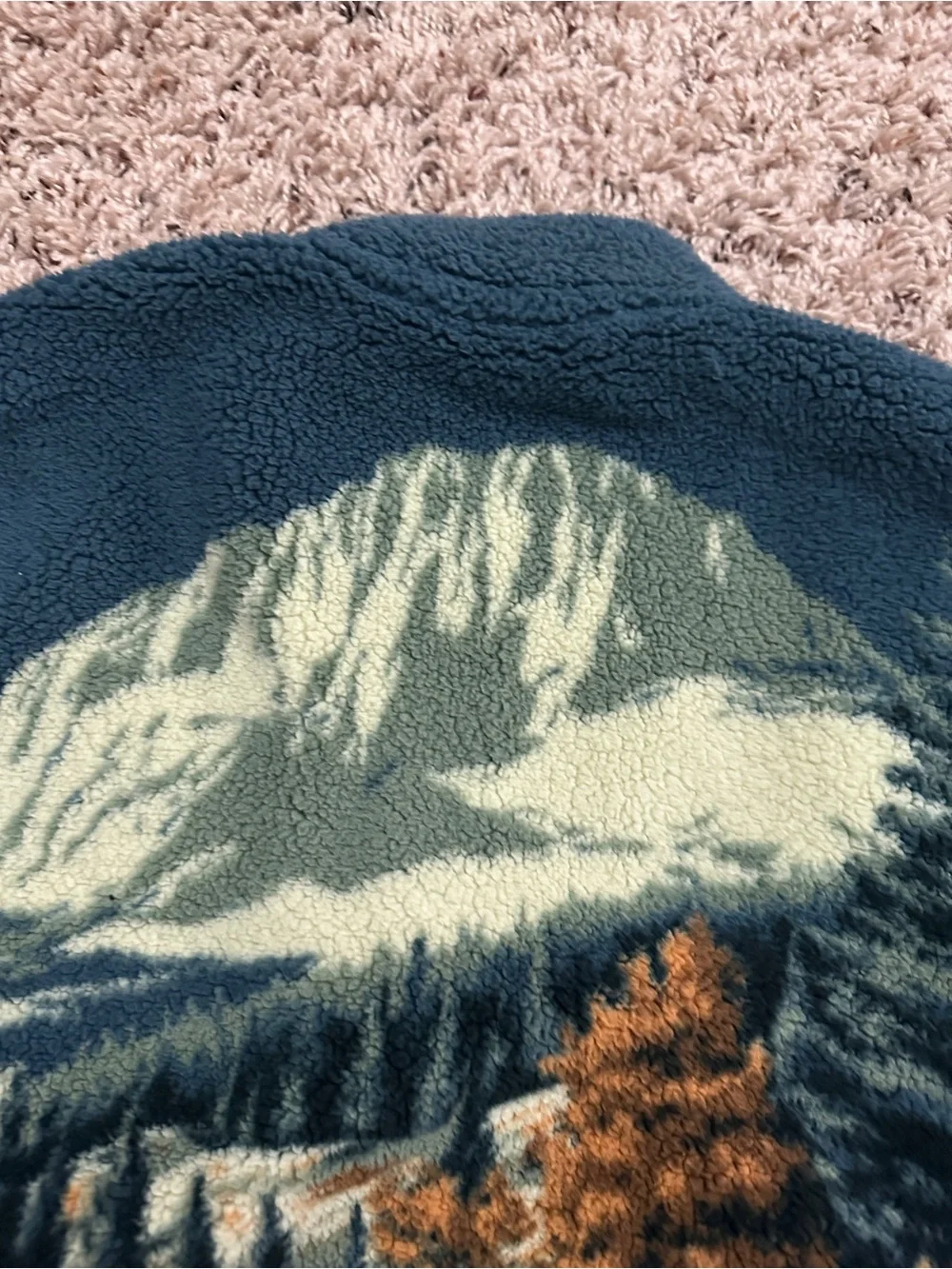 National Park Rocky Mountains Landscape Plush Quarter Zip Jacket Boys Size 10/12